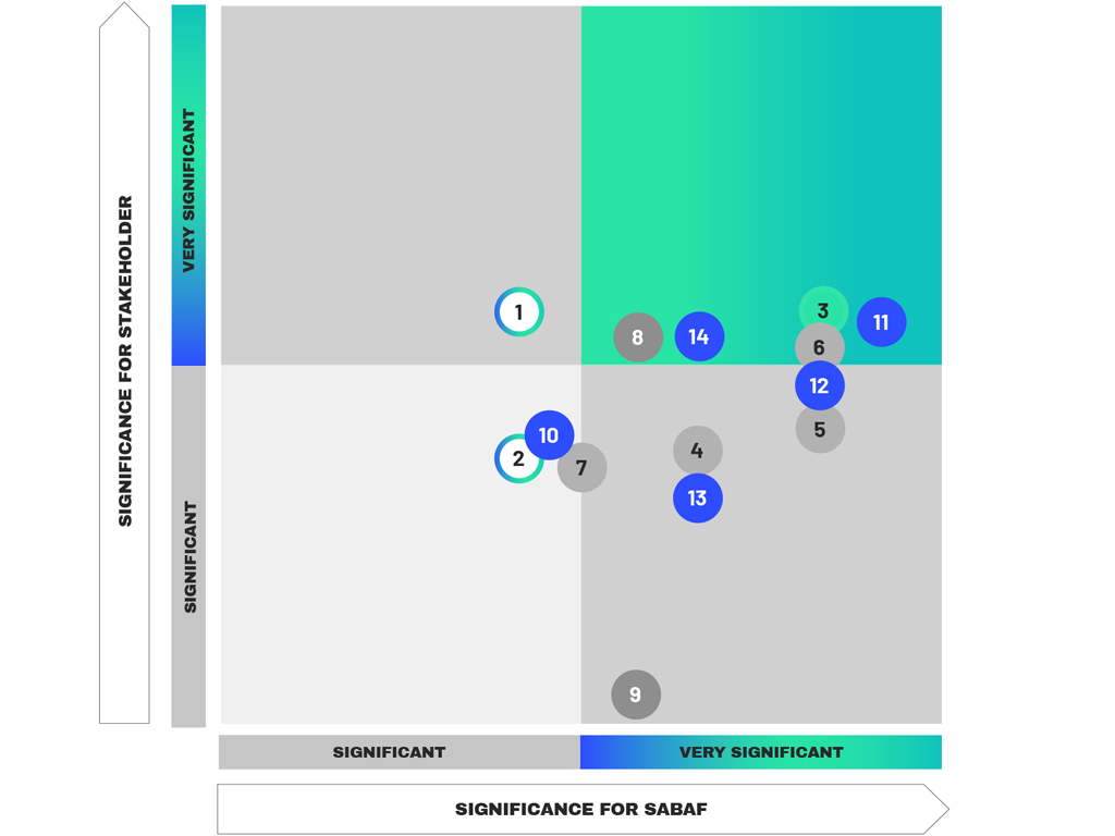 Materiality matrix
